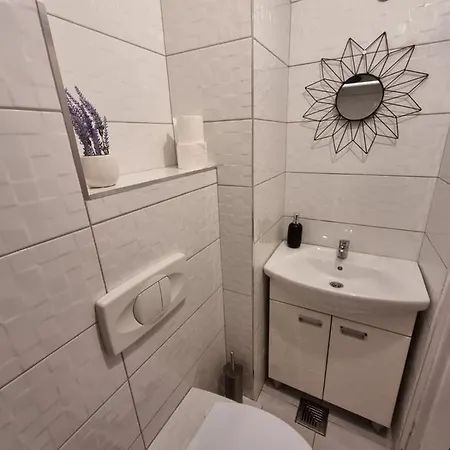 Apartment Dusan Center Parlament