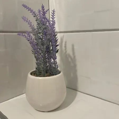 Apartment Dusan Center Parlament