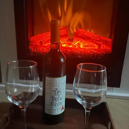 Apartment Dusan Center Parlament *